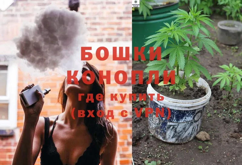 купить наркоту  Барыш  Канабис SATIVA & INDICA 